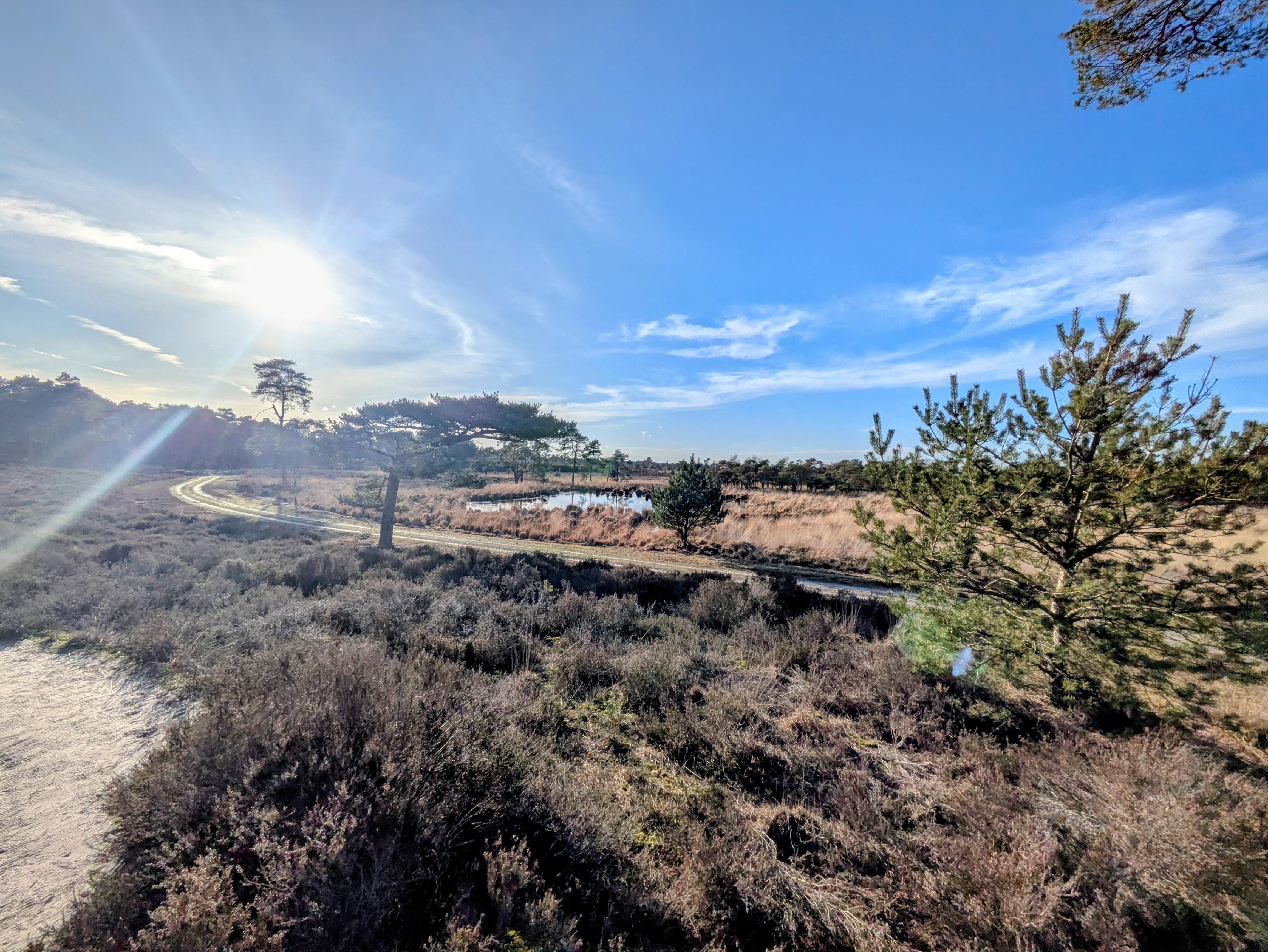 Heide