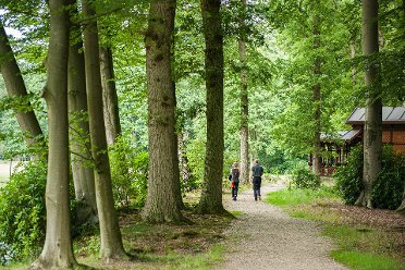 Lage Vuursche