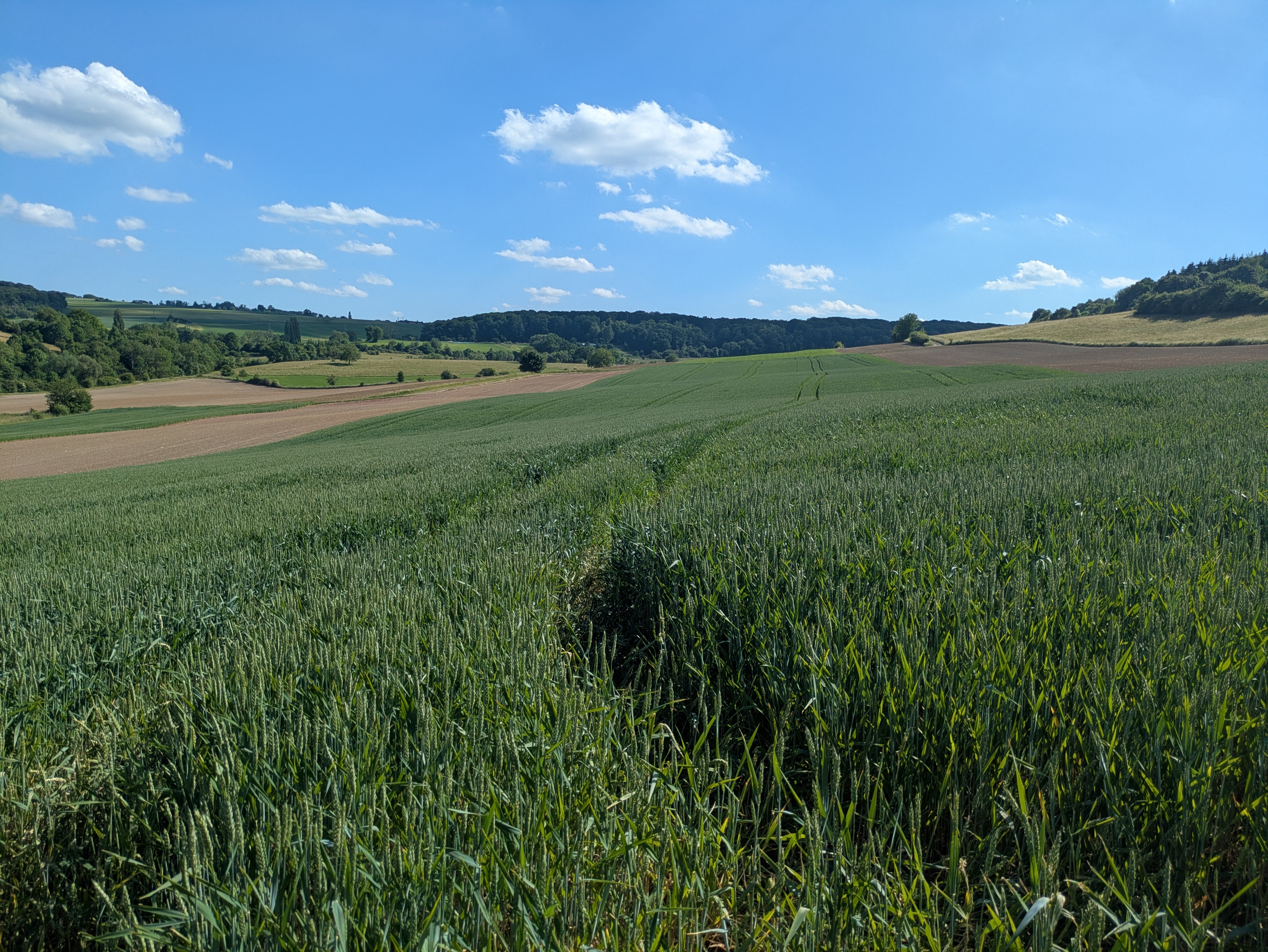 Natuur