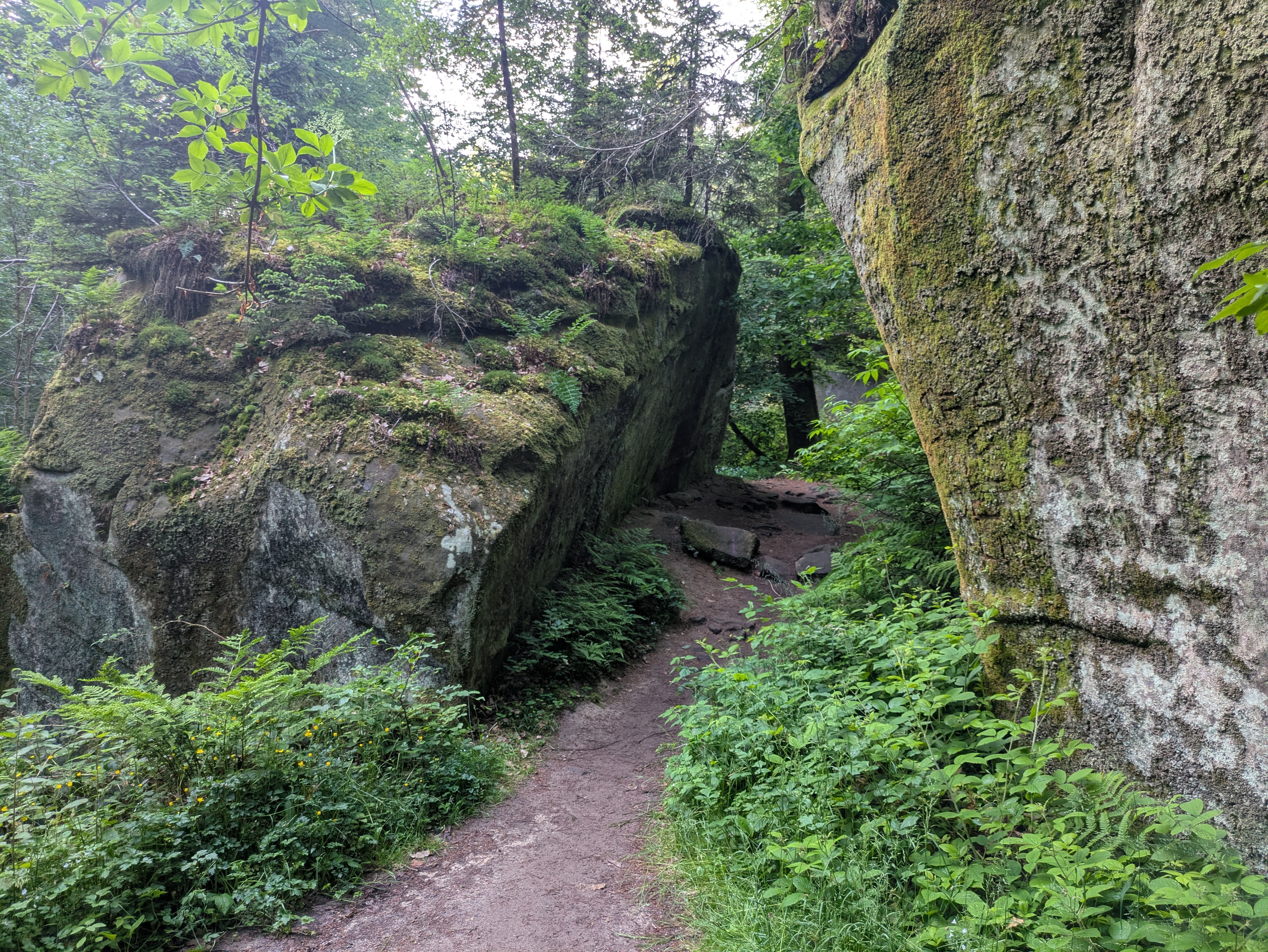 Natuur